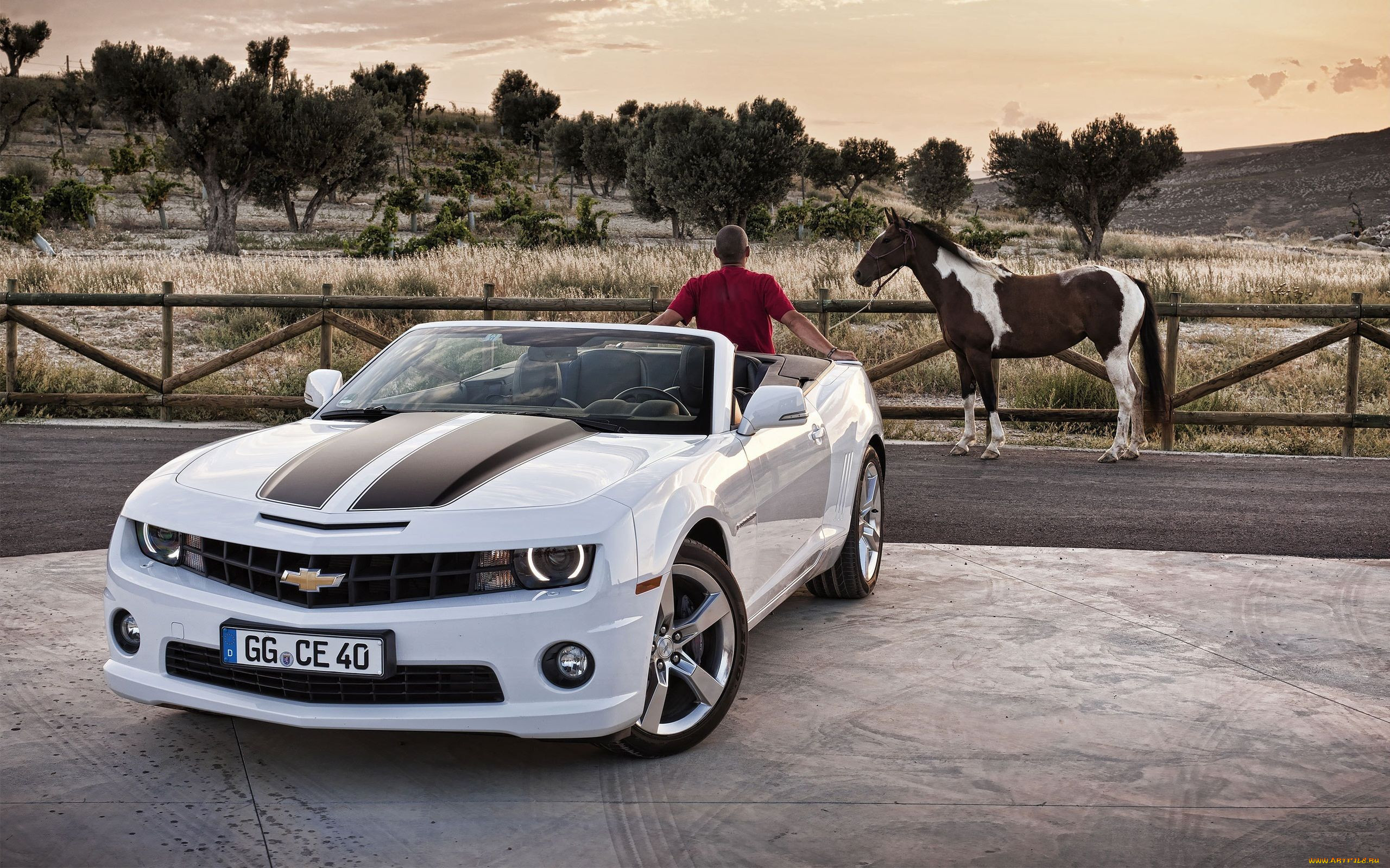 2012, chevrolet, camaro, convertible, , 